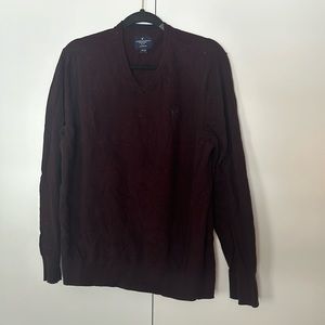 Men AE V sweater